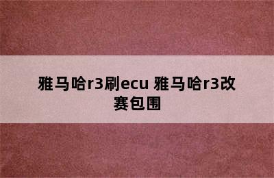 雅马哈r3刷ecu 雅马哈r3改赛包围